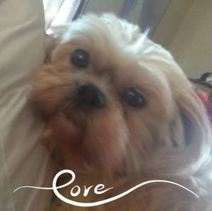 Meet your Posher, Alicia